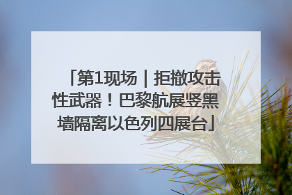 第1现场｜拒撤攻击性武器！巴黎航展竖黑墙隔离以色列四展台