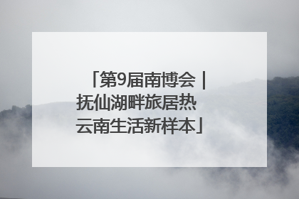 第9届南博会｜抚仙湖畔旅居热 云南生活新样本