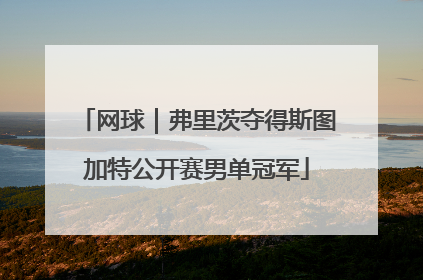 网球｜弗里茨夺得斯图加特公开赛男单冠军
