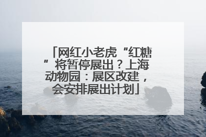网红小老虎“红糖”将暂停展出？上海动物园：展区改建，会安排展出计划