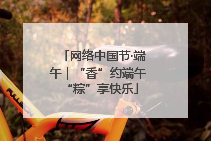网络中国节·端午｜“香”约端午 “粽”享快乐