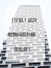 罕见！武汉植物园双色睡莲绽放