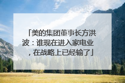美的集团董事长方洪波：谁现在进入家电业，在战略上已经输了