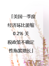 美国一季度经济环比萎缩0.2% 关税政策不确定性拖累增长