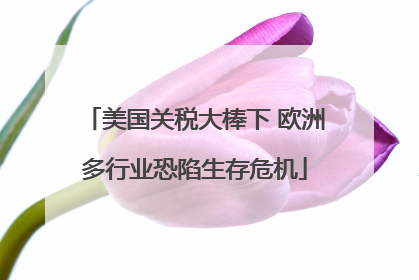 美国关税大棒下 欧洲多行业恐陷生存危机