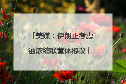 美媒：伊朗正考虑铀浓缩联营体提议