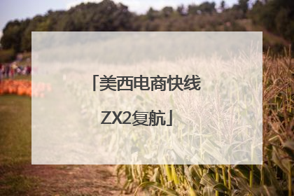 美西电商快线ZX2复航