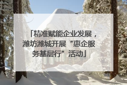 精准赋能企业发展，潍坊潍城开展“惠企服务基层行”活动