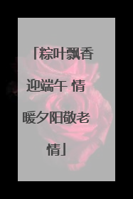 粽叶飘香迎端午 情暖夕阳敬老情