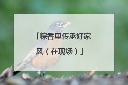 粽香里传承好家风（在现场）