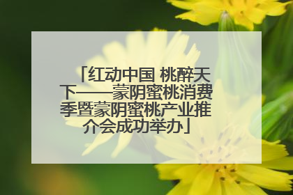红动中国 桃醉天下——蒙阴蜜桃消费季暨蒙阴蜜桃产业推介会成功举办