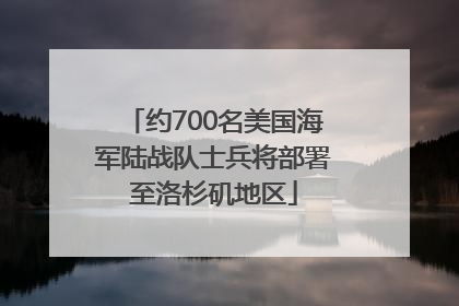 约700名美国海军陆战队士兵将部署至洛杉矶地区