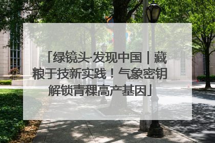 绿镜头·发现中国｜藏粮于技新实践！气象密钥解锁青稞高产基因