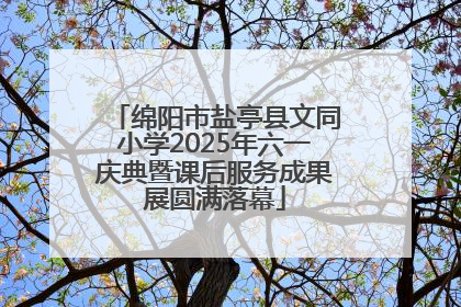 绵阳市盐亭县文同小学2025年六一庆典暨课后服务成果展圆满落幕