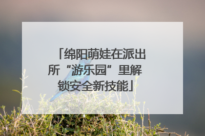 绵阳萌娃在派出所“游乐园”里解锁安全新技能