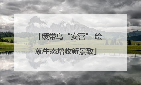 绶带鸟“安营” 绘就生态增收新景致