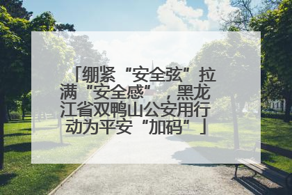绷紧“安全弦”拉满“安全感”，黑龙江省双鸭山公安用行动为平安“加码”