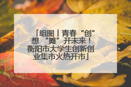组图丨青春“创”想 “摊”开未来！衡阳市大学生创新创业集市火热开市