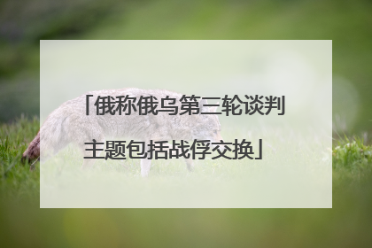 俄称俄乌第三轮谈判主题包括战俘交换