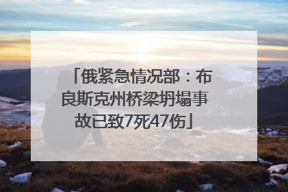 俄紧急情况部：布良斯克州桥梁坍塌事故已致7死47伤