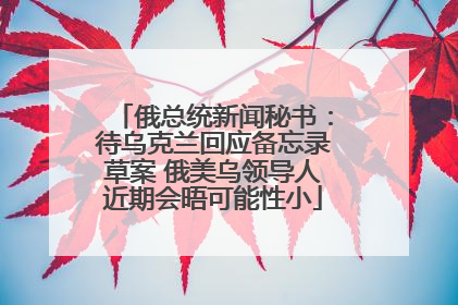 俄总统新闻秘书：待乌克兰回应备忘录草案 俄美乌领导人近期会晤可能性小