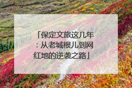 保定文旅这几年：从老城根儿到网红地的逆袭之路