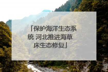 保护海洋生态系统 河北推进海草床生态修复
