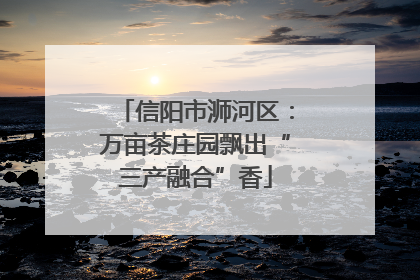 信阳市浉河区：万亩茶庄园飘出“三产融合”香