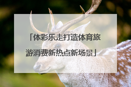 体彩乐走打造体育旅游消费新热点新场景