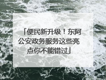 便民新升级！东阿公安政务服务这些亮点你不能错过