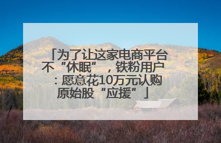 为了让这家电商平台不“休眠”，铁粉用户：愿意花10万元认购原始股“应援”