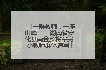 一群教师，一座山峰——湖南省安化县南金乡将军完小教师群体速写