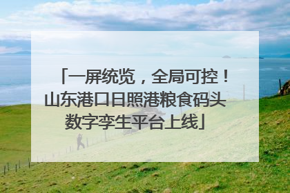 一屏统览，全局可控！山东港口日照港粮食码头数字孪生平台上线