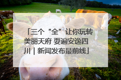 三个“全”让你玩转美丽天府 耍遍安逸四川｜新闻发布最前线