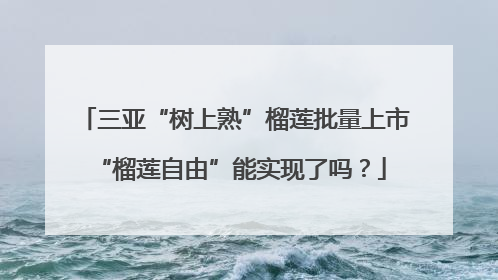 三亚“树上熟”榴莲批量上市 “榴莲自由”能实现了吗？