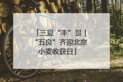 三夏“丰”景｜“五良”齐迎北京小麦收获日