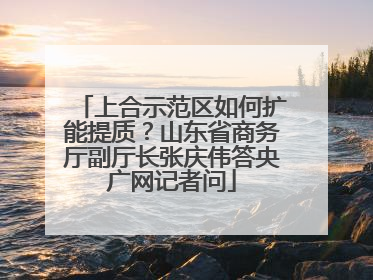 上合示范区如何扩能提质？山东省商务厅副厅长张庆伟答央广网记者问