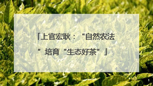 上官宏耿：“自然农法”培育“生态好茶”