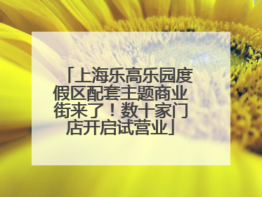 上海乐高乐园度假区配套主题商业街来了！数十家门店开启试营业