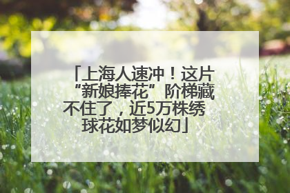 上海人速冲！这片“新娘捧花”阶梯藏不住了，近5万株绣球花如梦似幻