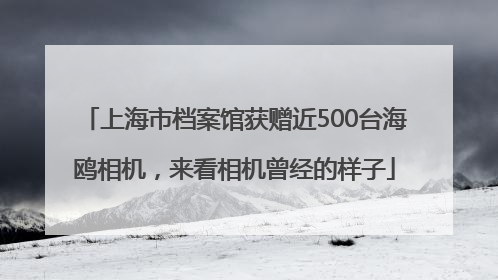 上海市档案馆获赠近500台海鸥相机，来看相机曾经的样子