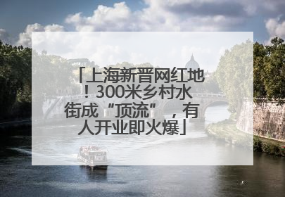 上海新晋网红地！300米乡村水街成“顶流”，有人开业即火爆