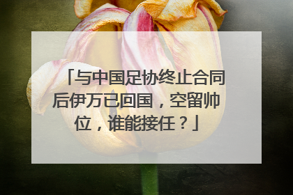 与中国足协终止合同后伊万已回国，空留帅位，谁能接任？
