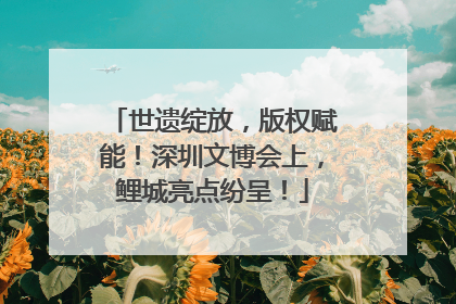 世遗绽放，版权赋能！深圳文博会上，鲤城亮点纷呈！