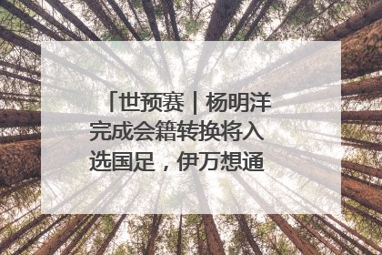 世预赛｜杨明洋完成会籍转换将入选国足，伊万想通了要打双后腰？
