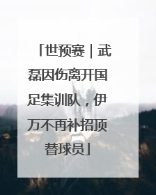 世预赛｜武磊因伤离开国足集训队，伊万不再补招顶替球员