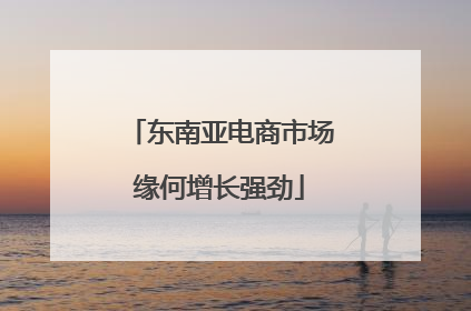 东南亚电商市场缘何增长强劲