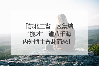 东北三省一区集结“揽才” 逾八千海内外博士奔赴而来