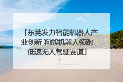 东莞发力智能机器人产业创新 狗熊机器人领跑低速无人驾驶赛道