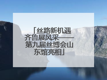丝路新机遇 齐鲁展风采——第九届丝博会山东馆亮相